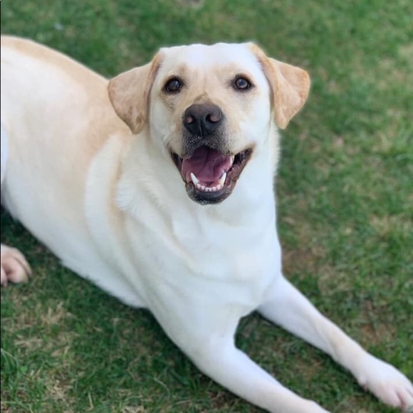 Meet your Posher, Laura - Picture 7 of 8